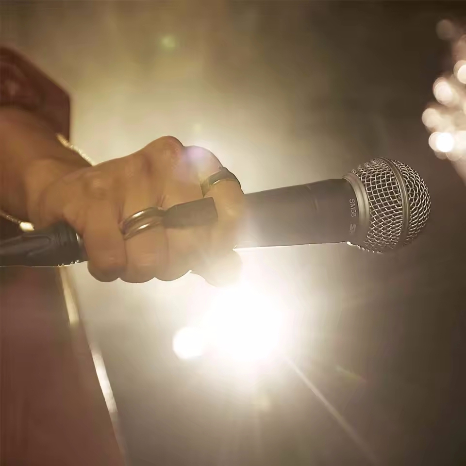 Karaoke Dynamic Microphone Pro - Shure Mic Sm58 ulasan dan harga